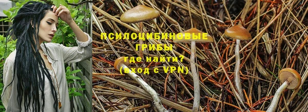 ECSTASY Беломорск