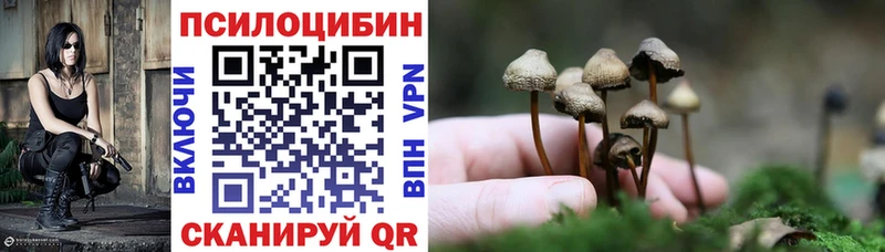 Галлюциногенные грибы Psilocybe  mega зеркало  Волгореченск 